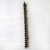 Camshaft 4059331 for Cummins ISX15 Diesel Engine 