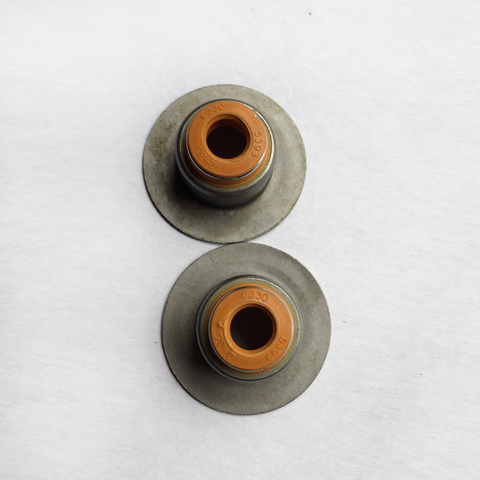Valve Stem Seal 3955393 for Cummins ISDe Engines