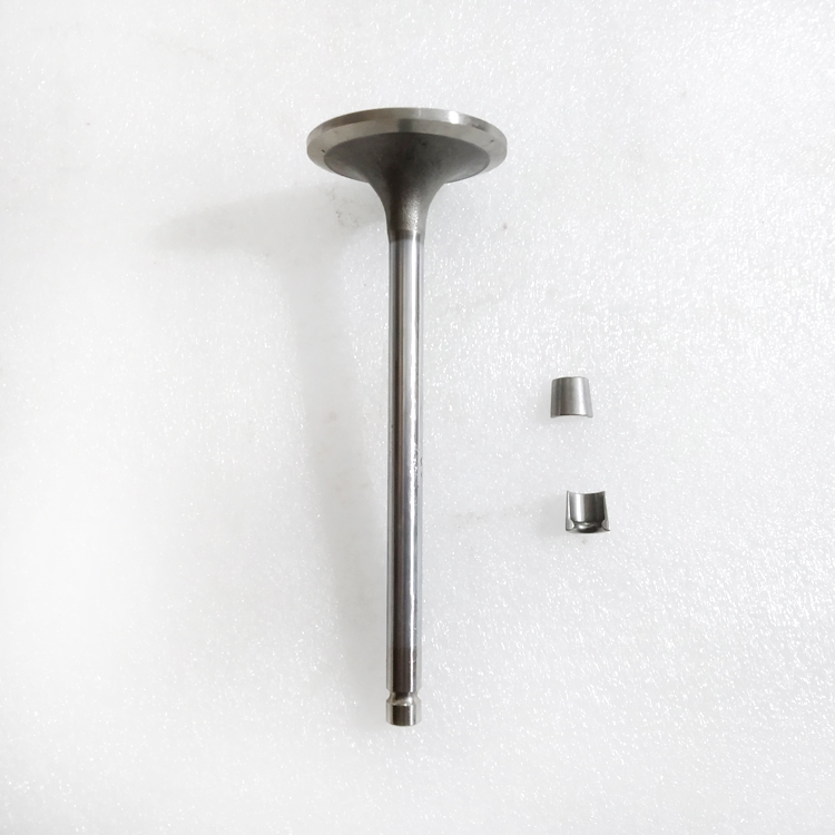 Intake Valve 3922713 for Cummins 6BT5.9 Diesel Engine Parts