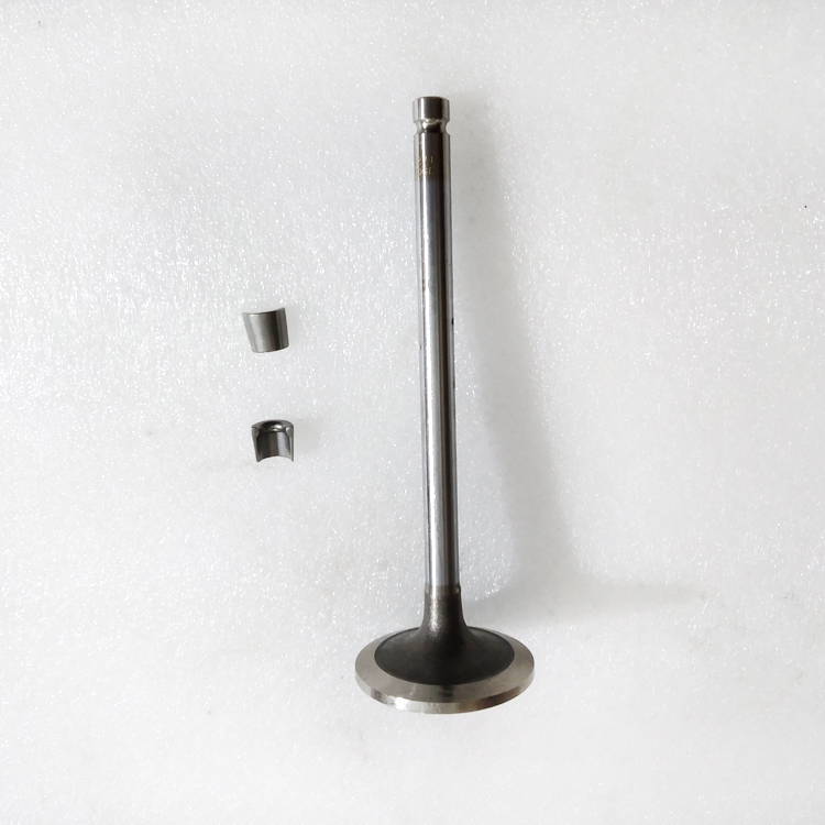 Exhaust Valve 3922714 for Cummins 6BT5.9 Engine Parts
