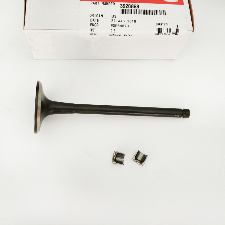 Exhaust Valve 4994143 for Cummins 6BT Engine Parts