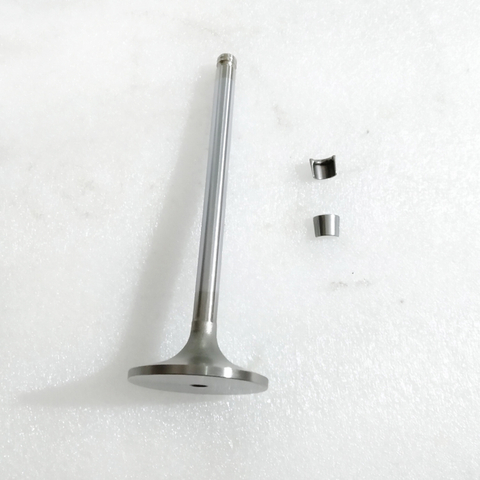 Exhaust Valve 3927255 for Cummins CGE8.3 6C8.3 Engine Parts