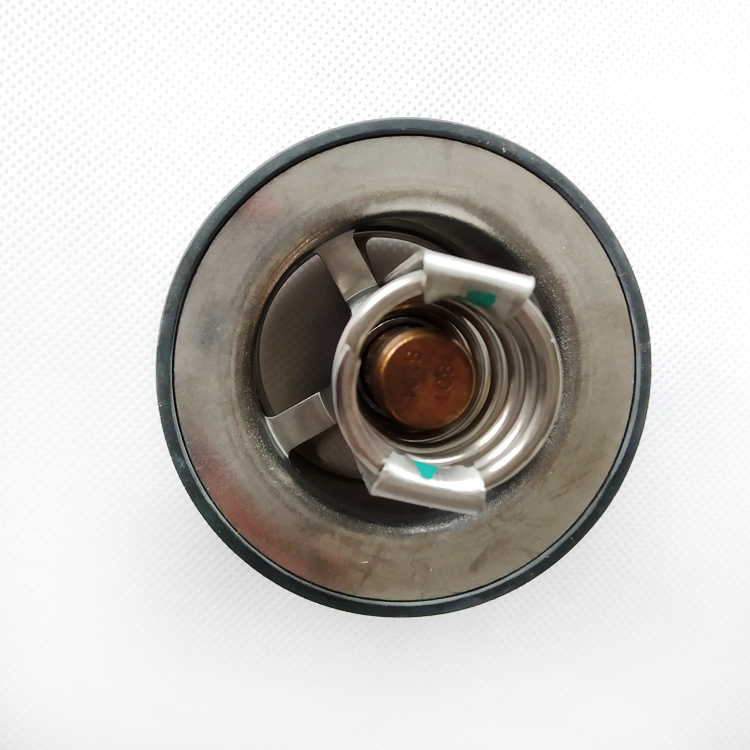Thermostat 4318947 for Cummins X15 Engine
