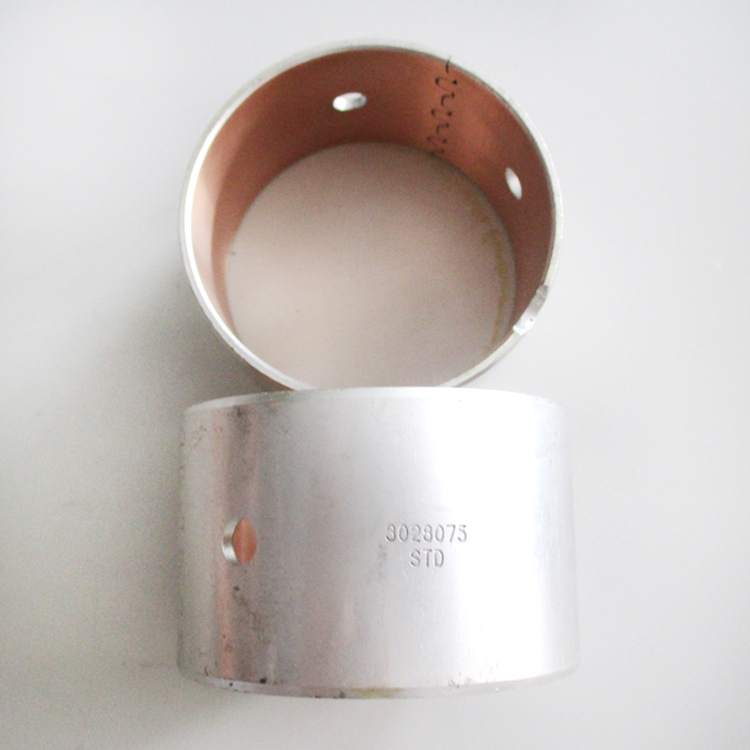 Camshaft Bush 3028075 for Cummins Diesel Engine