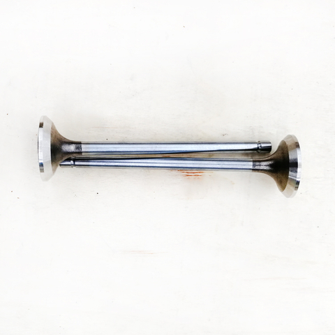 Exhaust Valve 5308265 for Cummins ISF2.8 Engine Parts