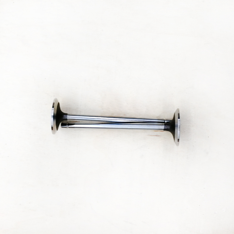 Intake Valve 5308264 for Cummins ISF2.8 Diesel Engine Parts