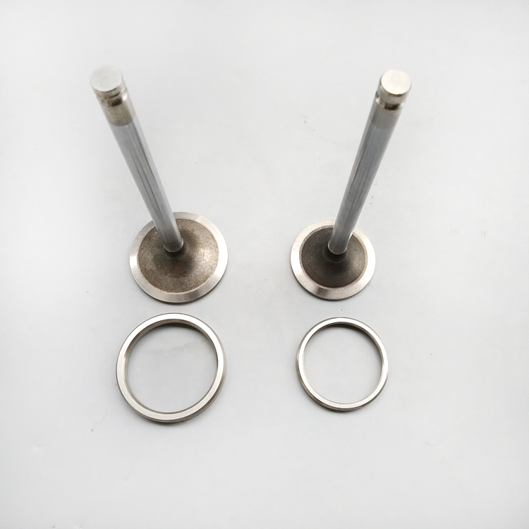 Exhaust Valve 3927255 for Cummins CGE8.3 6C8.3 Engine Parts
