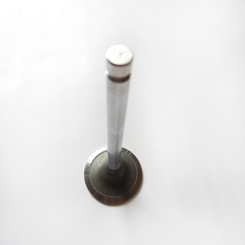 Intake Valve 4982907 for Cummins 4B3.3 Diesel Engine Parts