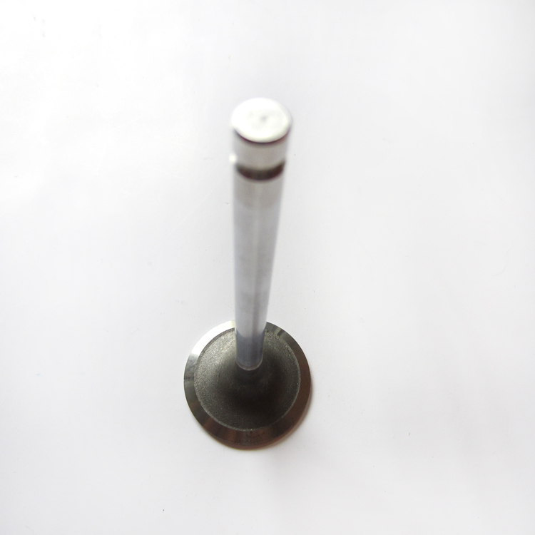 Intake Valve 4982907 for Cummins 4B3.3 Diesel Engine Parts