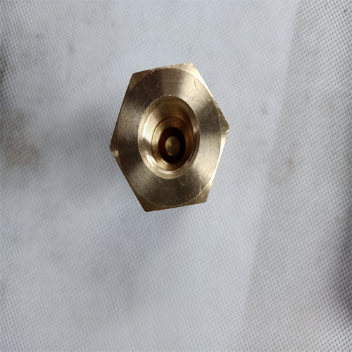 Check Valve 185505 For Cummins K38 Engine