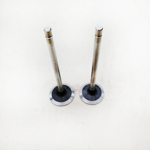 Intake Valve 5308264 for Cummins ISF2.8 Diesel Engine Parts