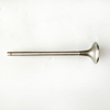 Intake Valve 3068519 for Cummins N14 Diesel Engine Parts