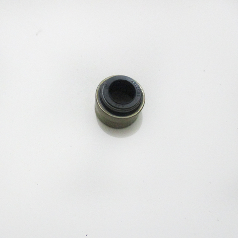 Valve Stem Seal 4312008 for Cummins QSX15 ISX15 Engine Parts