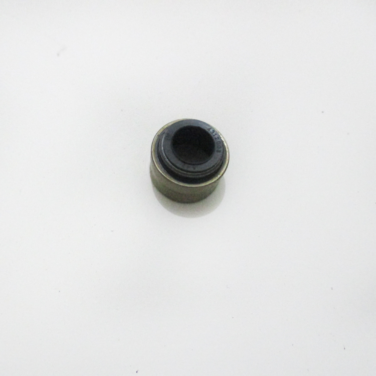 Valve Stem Seal 4312008 for Cummins QSX15 ISX15 Engine Parts
