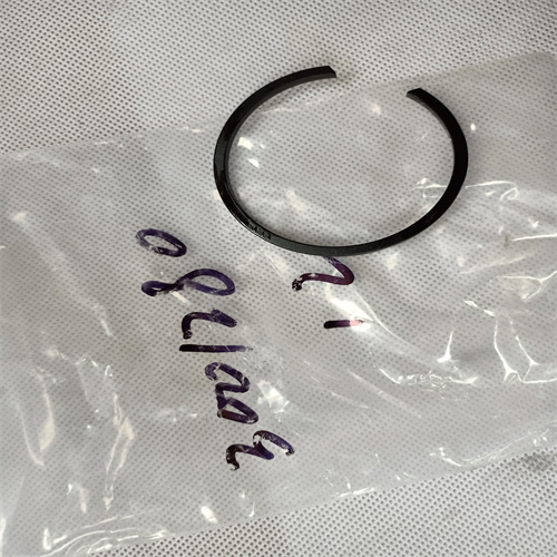 Retaining Ring 3001280 For Cummins NTA855 Engine