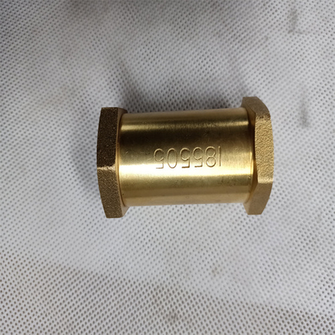 Check Valve 185505 For Cummins K38 Engine