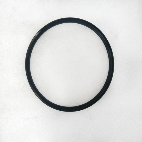 Rear Crank Seal Kit 4089544 for XCEC Engines