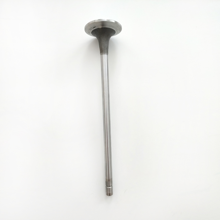 Intake Valve 3685996 for Cummins X15 Diesel Engine Parts