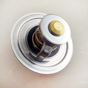 Thermostat 4930315 for Cummins 6BT Engine