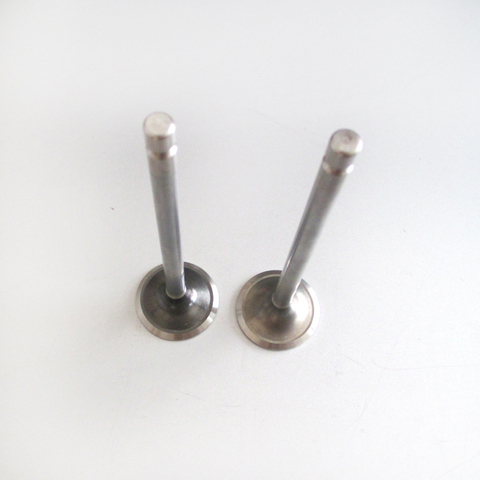 Intake Valve 3940735 for Cummins ISBe ISF3.8 Diesel Engine Parts