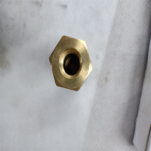Check Valve 185505 For Cummins K38 Engine
