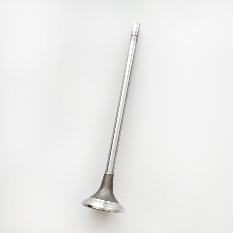 Intake Valve 3685996 for Cummins X15 Diesel Engine Parts