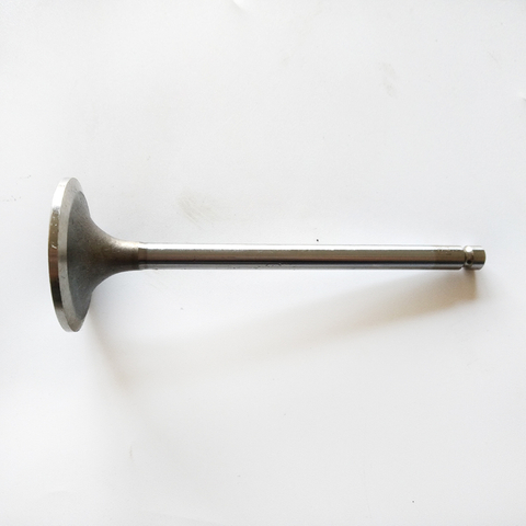 Intake Valve 3922713 for Cummins 6BT5.9 Diesel Engine Parts