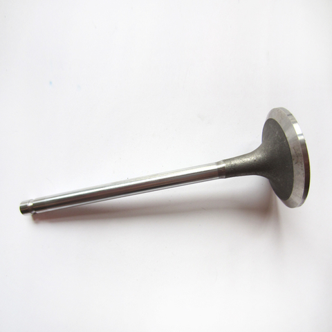 Intake Valve 4995554 for Cummins 6BT Diesel Engine Parts