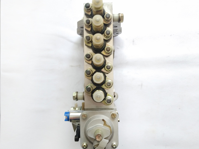 Fuel Pump Assembly C39739006P701-120 For Engine 6CTA8.3-C215