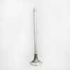 Intake Valve 3685996 for Cummins X15 Diesel Engine Parts