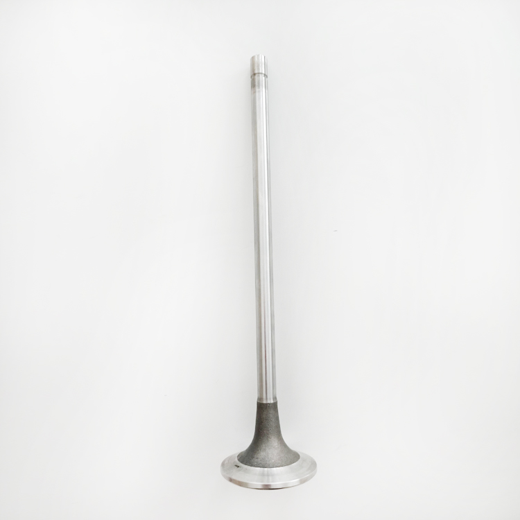 Intake Valve 3685996 for Cummins X15 Diesel Engine Parts