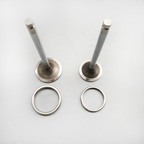 Intake Valve 3927254 for Cummins CGE8.3 6C8.3 Diesel Engine Parts