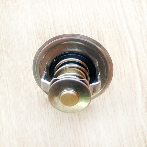 Thermostat 4930315 for Cummins 6BT Engine