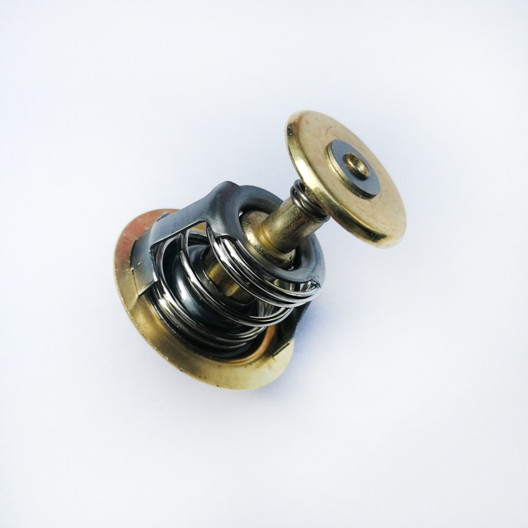 Thermostat 3928639 for Cummins 6C8.3 Engine